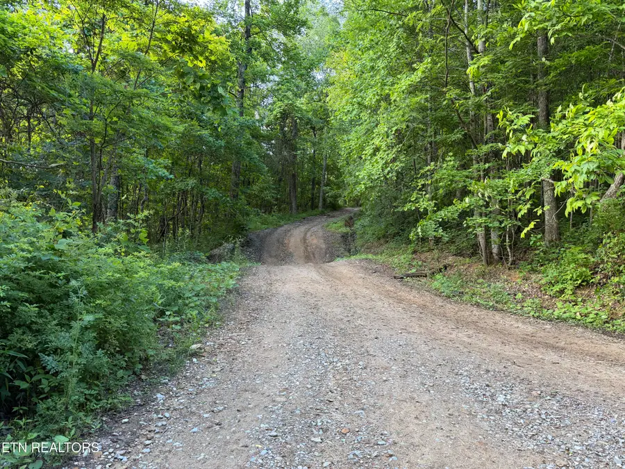 Mountain Rd, Caryville, TN 37714 - #2