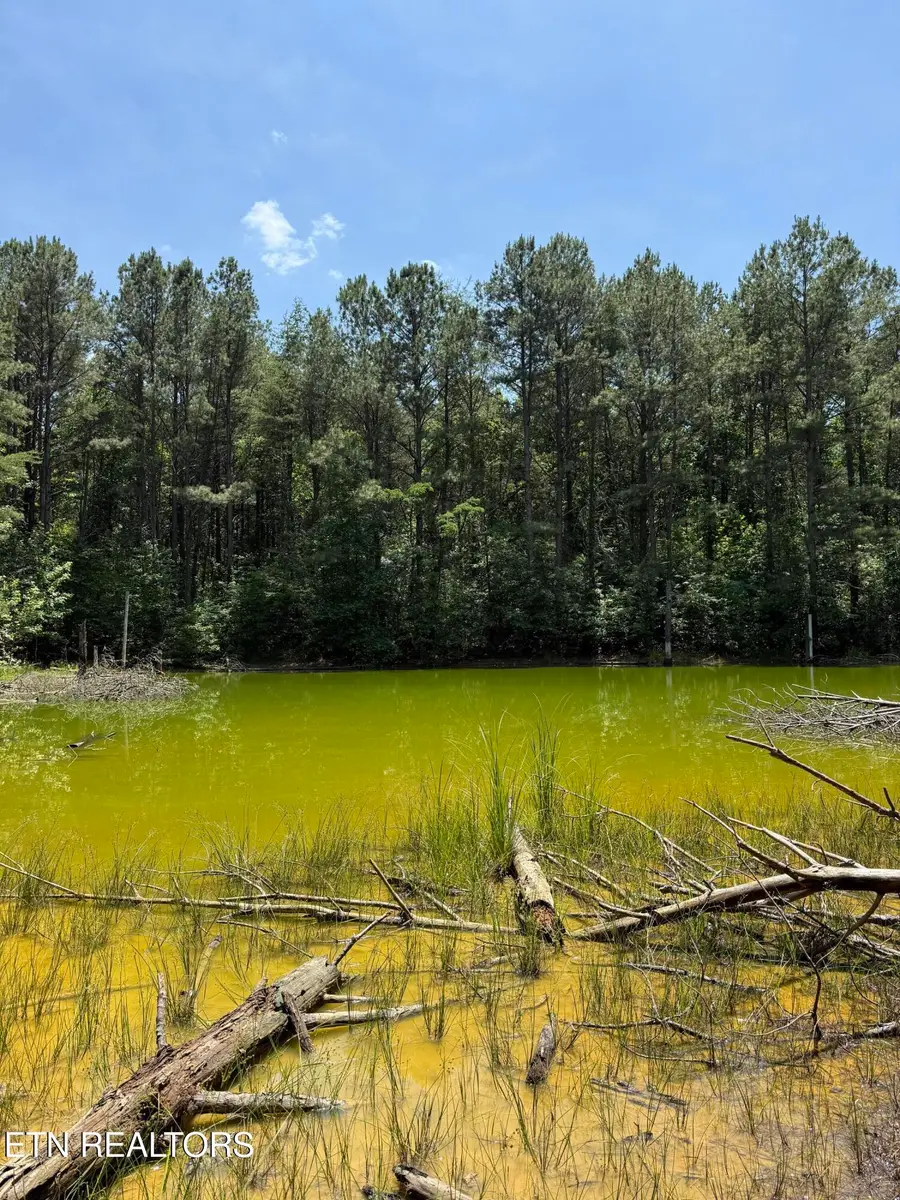 426 & 422 County Road 728. (58.5 Acres), Riceville, TN 37370 - #2