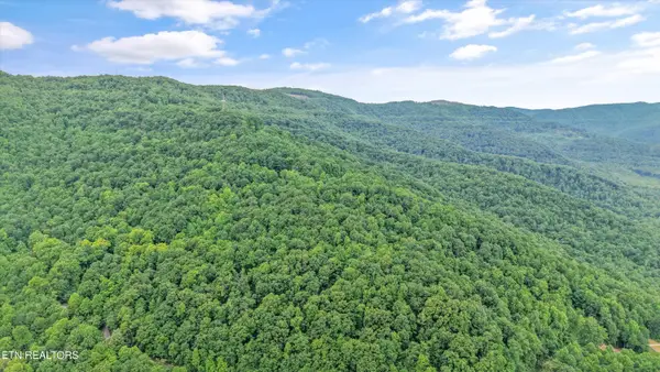 Mountain Rd, Caryville, TN 37714