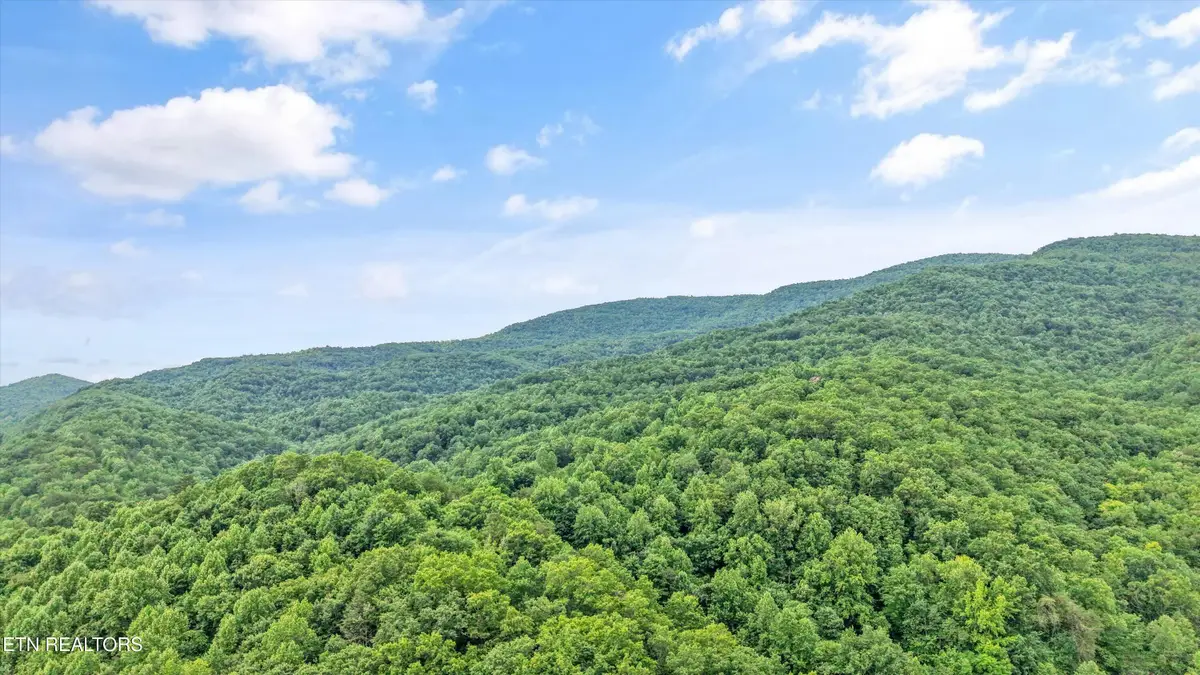 Mountain Rd, Caryville, TN 37714 - #1