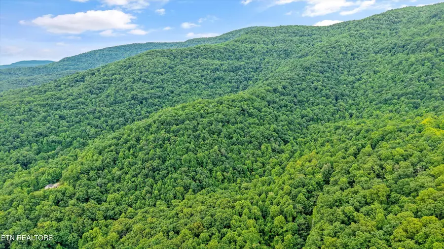 Mountain Rd, Caryville, TN 37714 - #3