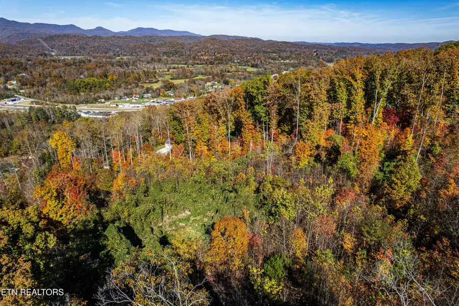 247 Mahoney Rd, Oliver Springs, TN 37840 - #2