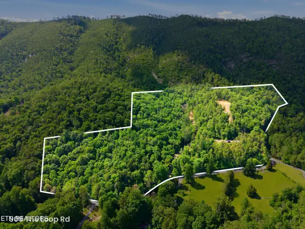 909 The Loop Rd, Walland, TN 37886
