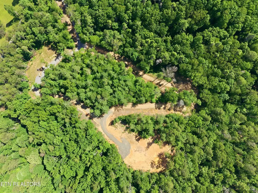 909 The Loop Rd, Walland, TN 37886 - #2