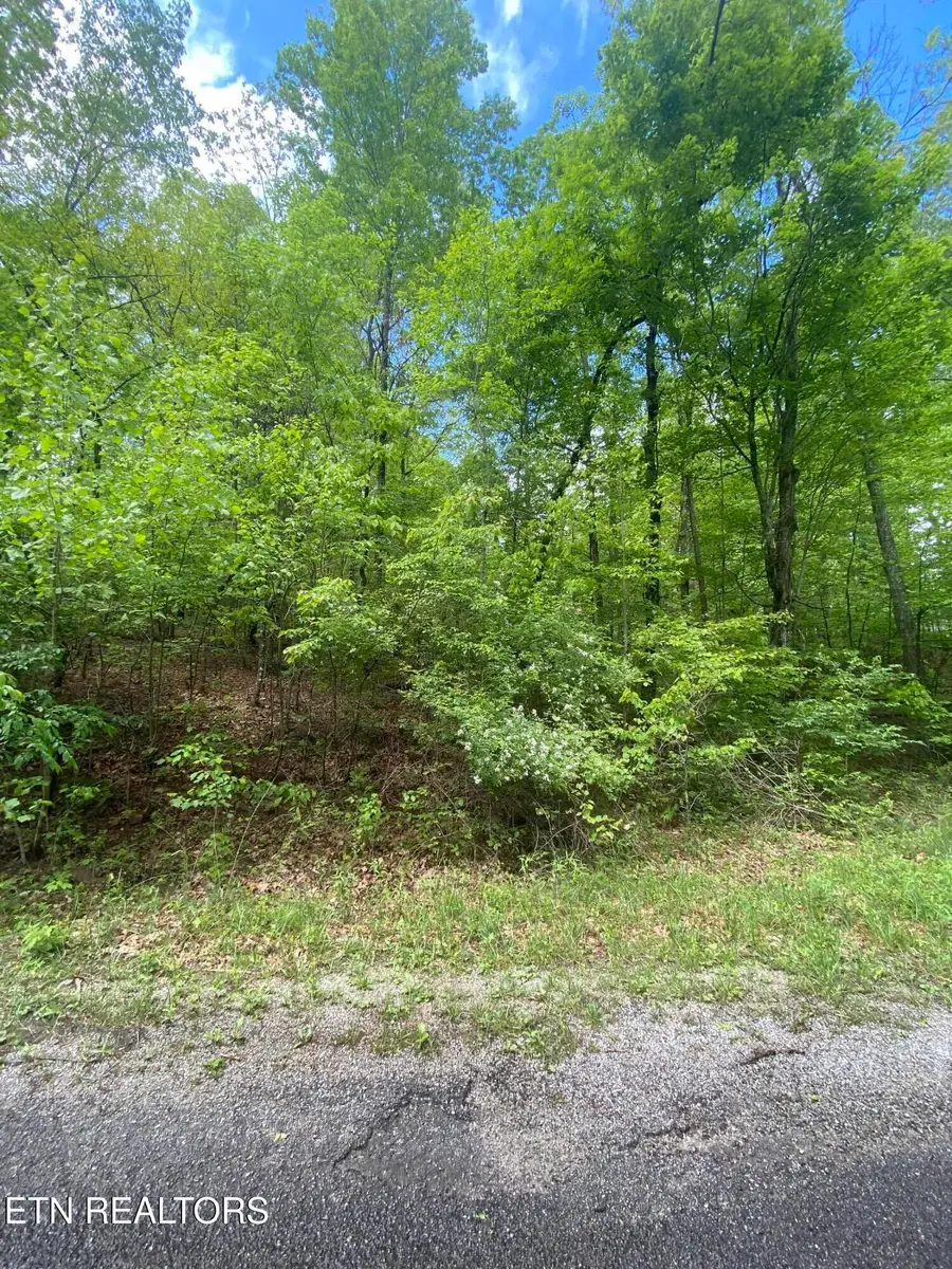610 Catawba Lane, Crossville, TN 38572 - #2