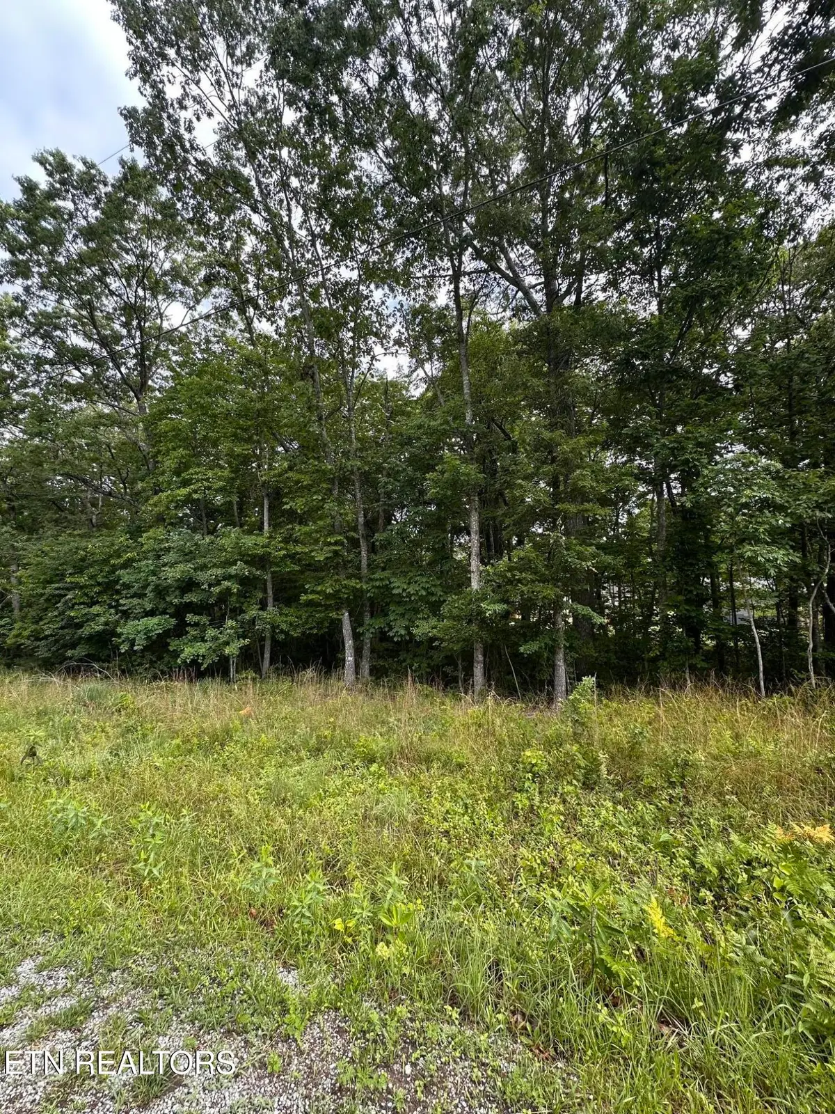 2020 Piute Rd, Crossville, TN 38572 - #1