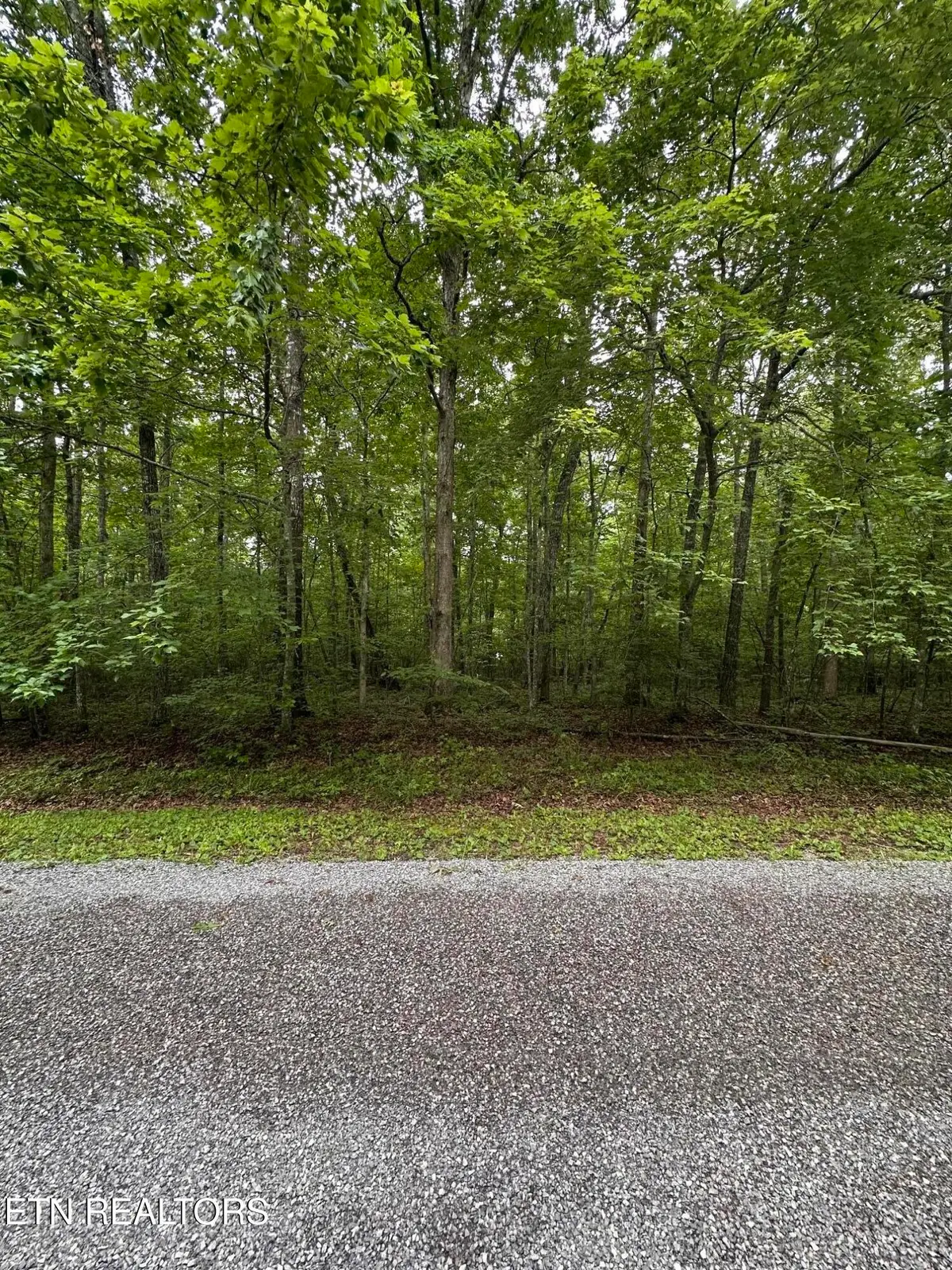 935 Veho Circle, Crossville, TN 38572 - #1