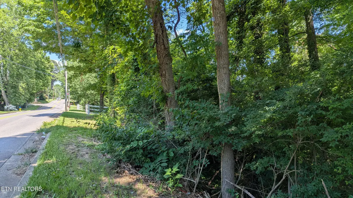 Cedar Lane, Knoxville, TN 37918 - #1
