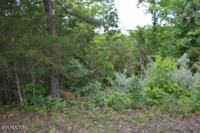 2.75ac Beauchamp Rd, Burkesville, KY 42717 - #1