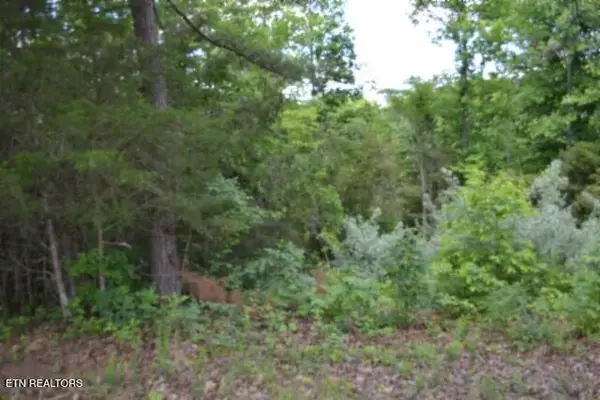 2.75ac Beauchamp Rd, Burkesville, KY 42717