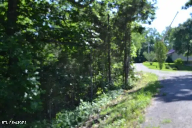 2.75ac Beauchamp Rd, Burkesville, KY 42717 - #3