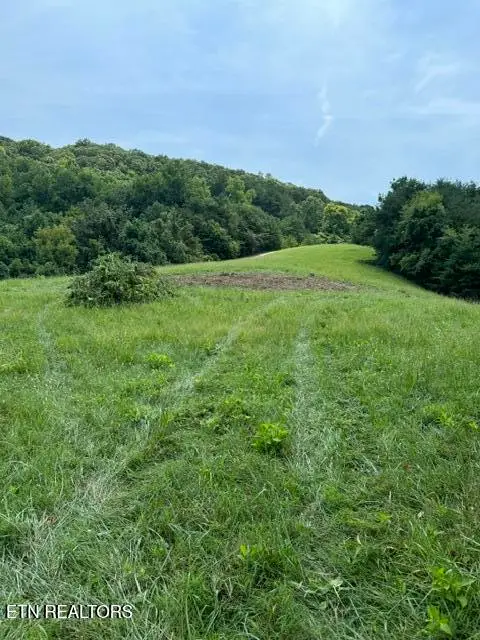 Sierra Ridge, Sharps Chapel, TN 37866 - #2