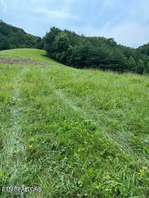 Sierra Ridge, Sharps Chapel, TN 37866 - #3