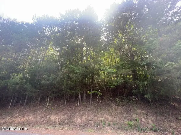 123 Hilty Head Lane, LaFollette, TN 37766