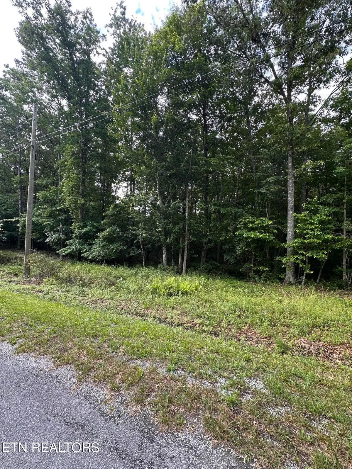 3031 Shawnee Rd, Crossville, TN 38572 - #1