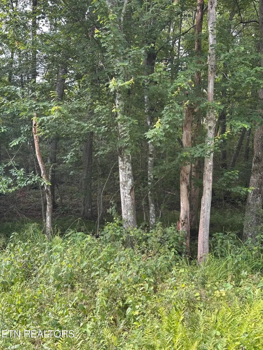 3031 Shawnee Rd, Crossville, TN 38572 - #2