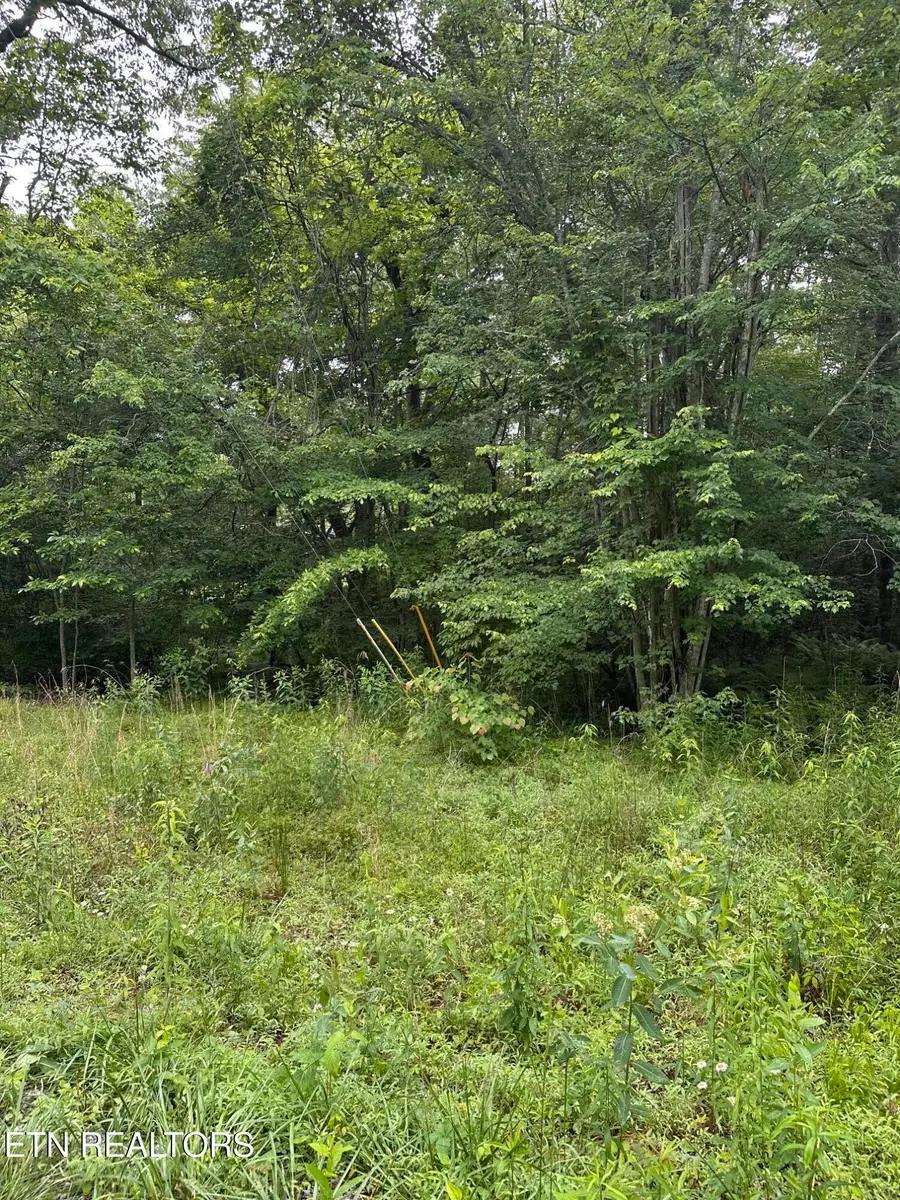 3119 Crow Drive, Crossville, TN 38572 - #2