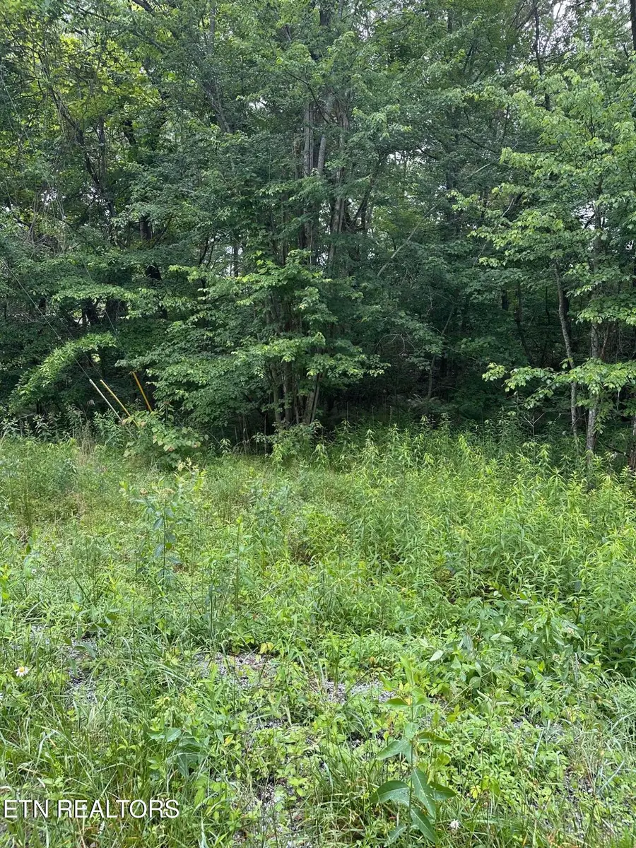 3119 Crow Drive, Crossville, TN 38572 - #3