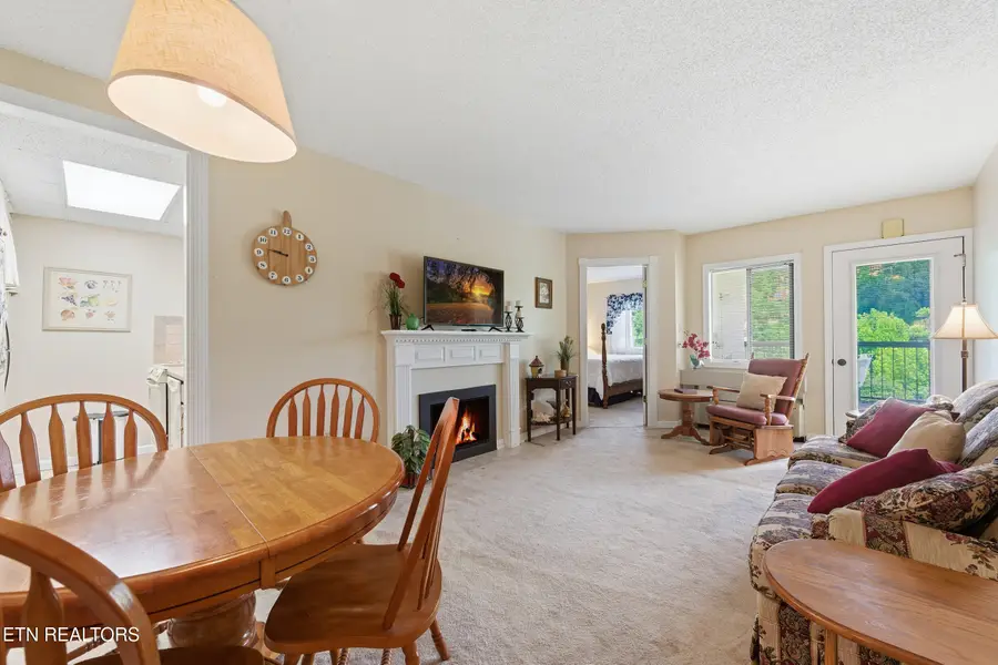 102 Baskins Creek Bypass #410, Gatlinburg, TN 37738 - #3
