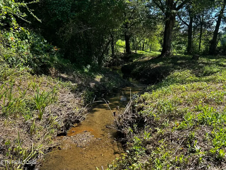 1060 County Road 130, Riceville, TN 37370 - #3