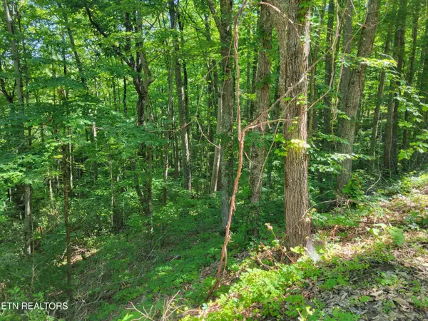 Lot 20 Sunset Drive, Sevierville, TN 37876