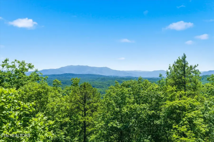 1846 Blue Tick Way, Sevierville, TN 37876 - #2