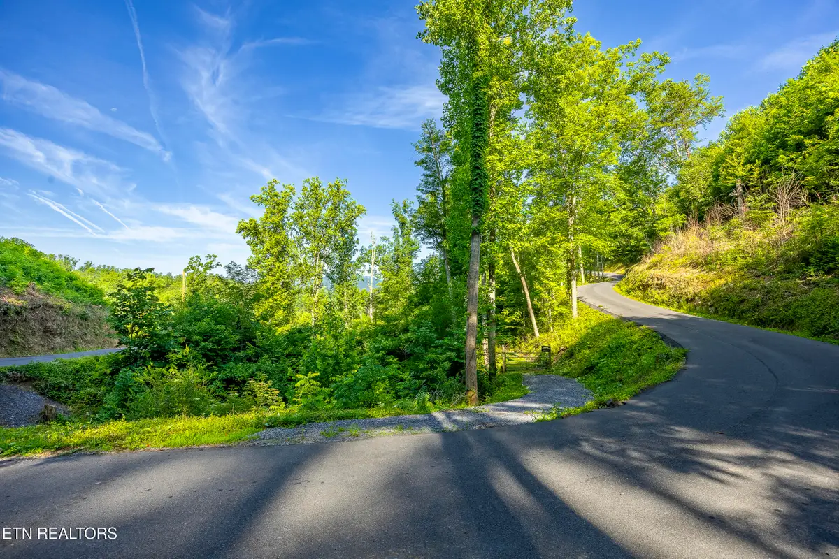 628 Loop Rd, Gatlinburg, TN 37738 - #1