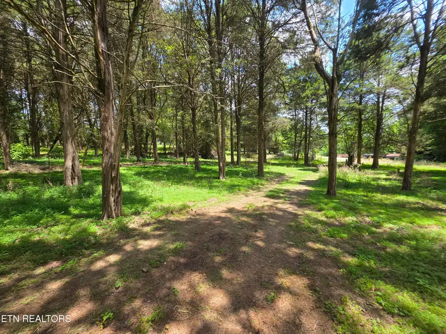 8050 Lett Rd, Corryton, TN 37721 - #2