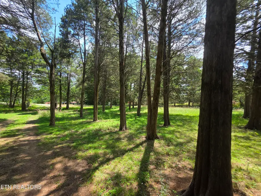 8050 Lett Rd, Corryton, TN 37721 - #3