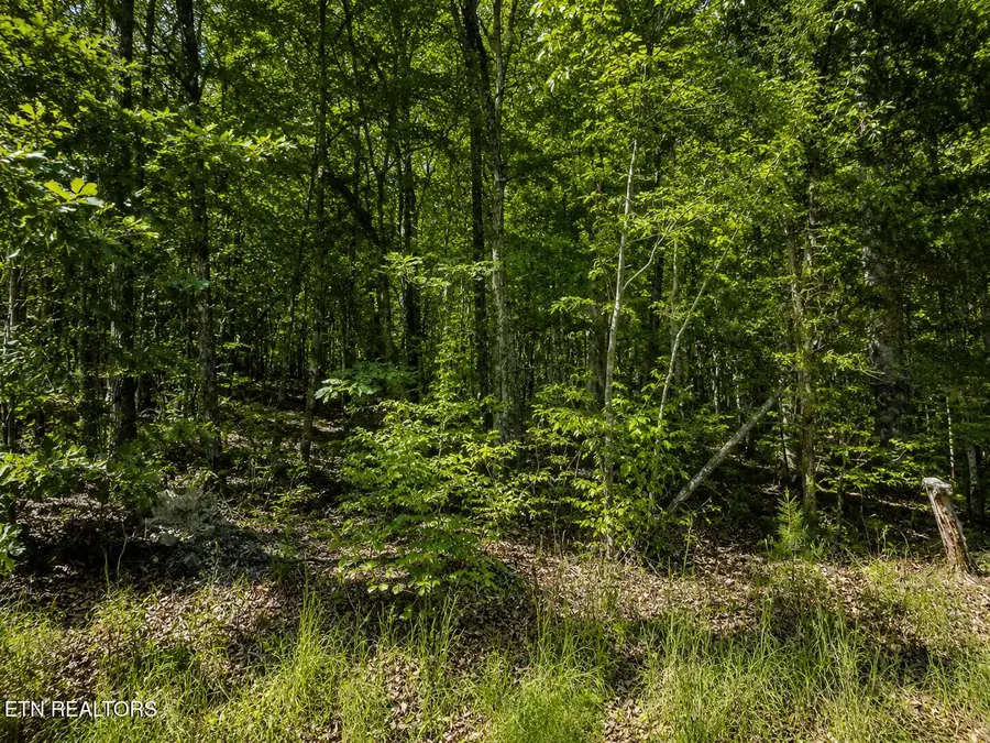 Lot 5 Keylon Hollow Road, Ten Mile, TN 37880 - #2