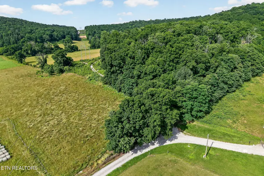 00 Moore Cove Rd, Quebeck, TN 38579 - #2