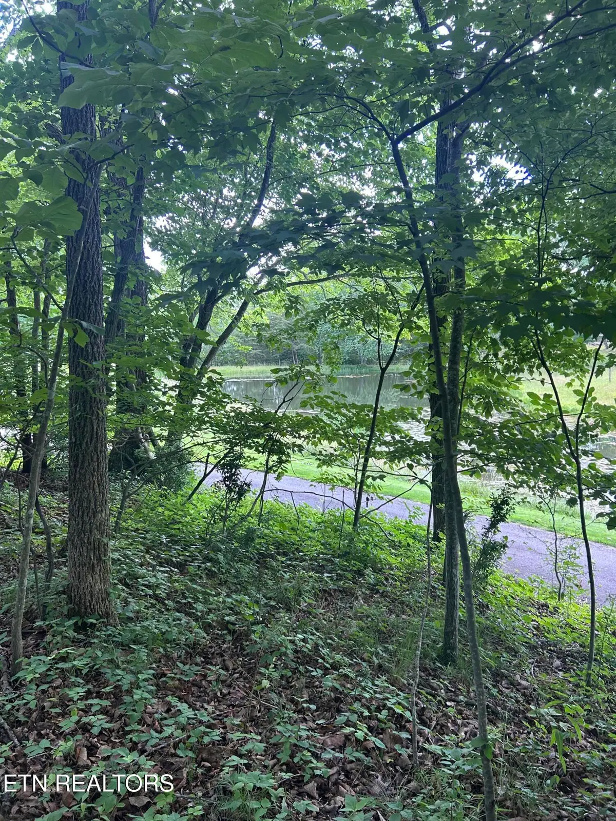 26 Rolling Green Court, Fairfield Glade, TN 38558 - #1