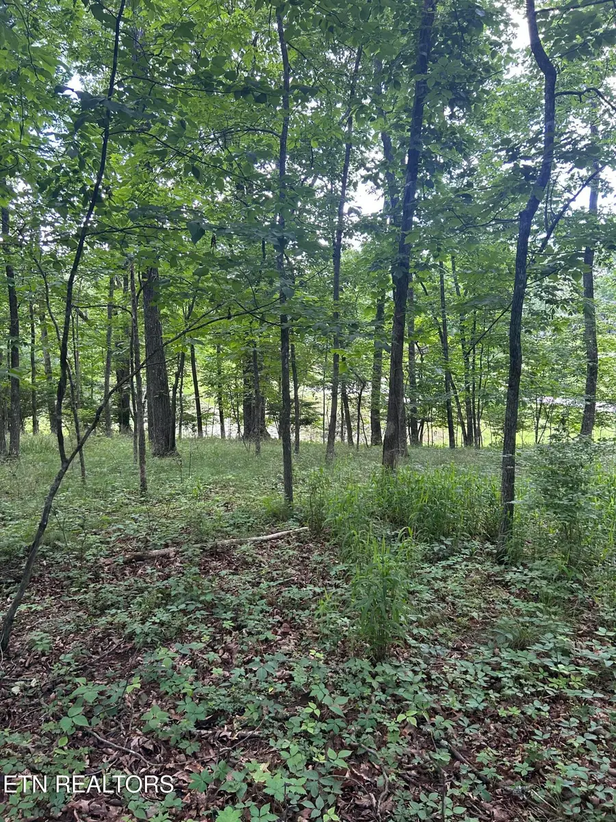 26 Rolling Green Court, Fairfield Glade, TN 38558 - #3