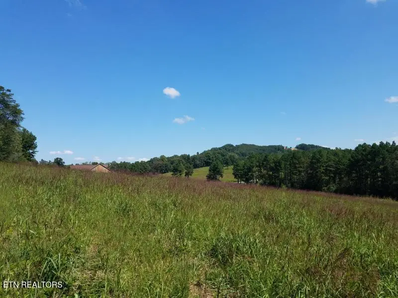 Loop Rd, Sweetwater, TN 37874 - #2