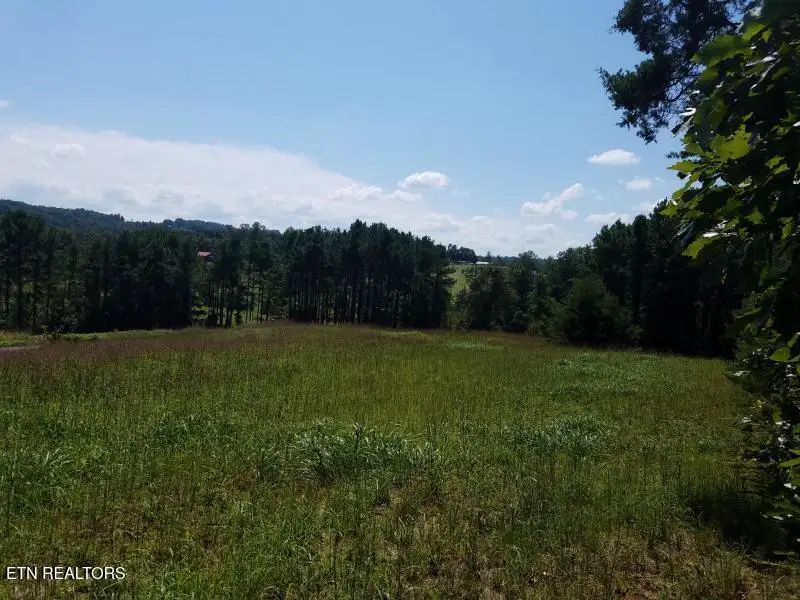Loop Rd, Sweetwater, TN 37874 - #3