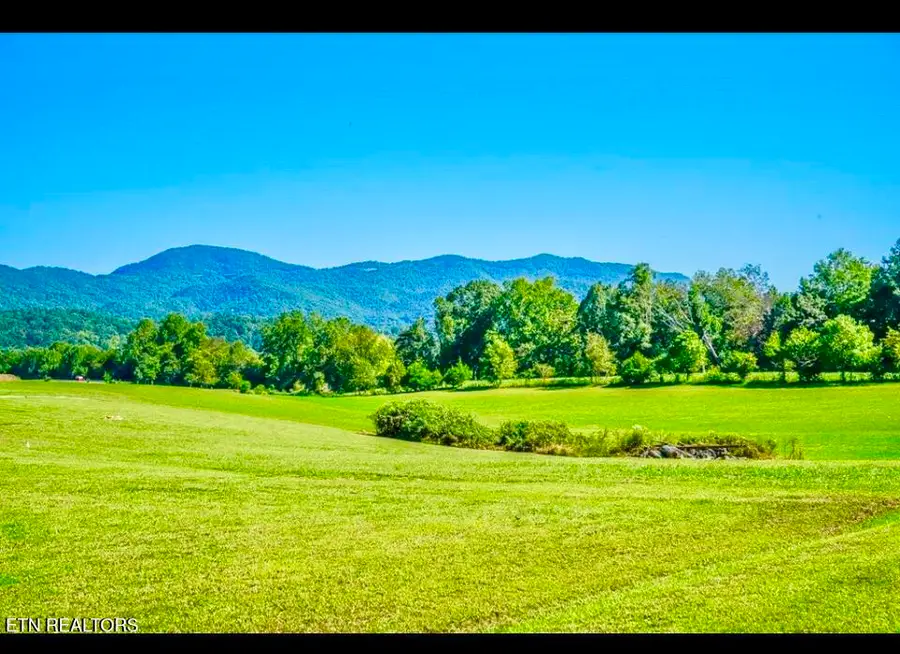 237 Myers Rd, Townsend, TN 37882 - #2