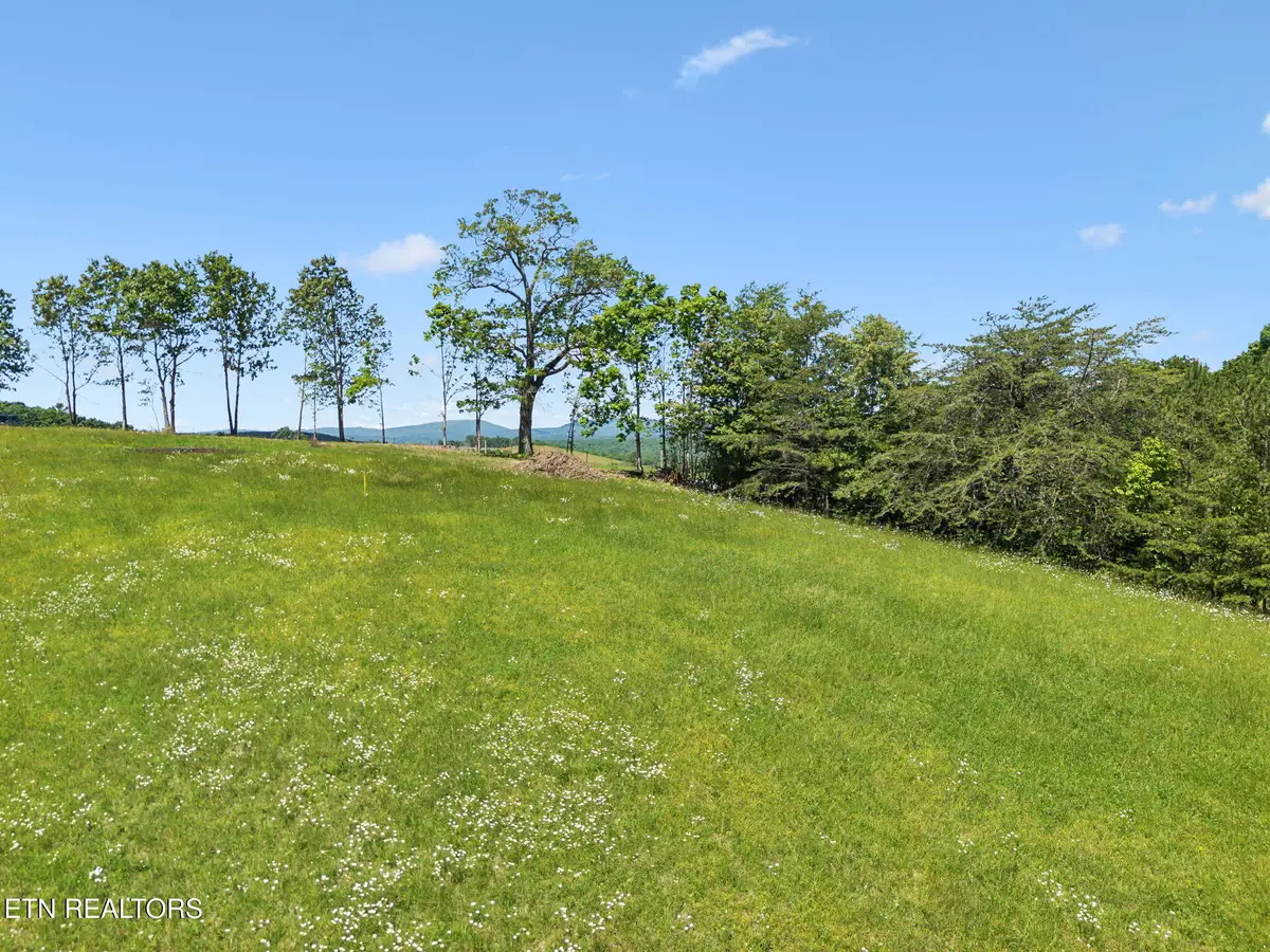 1460 Big Neck Rd, Grandview, TN 37337 - #1