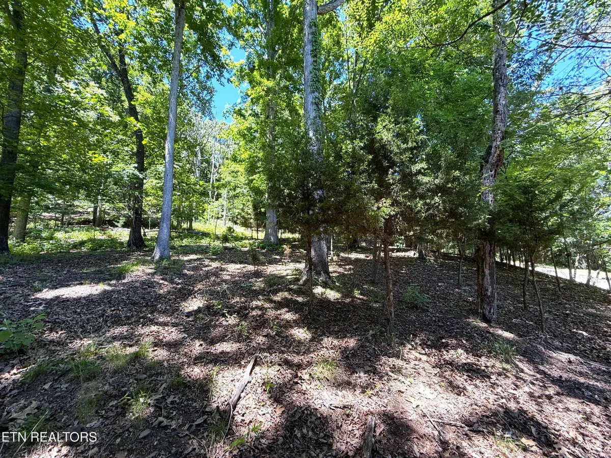Harbor View #214, Mooresburg, TN 37811 - #1