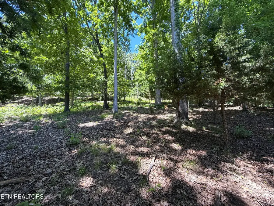 Harbor View #214, Mooresburg, TN 37811 - #2