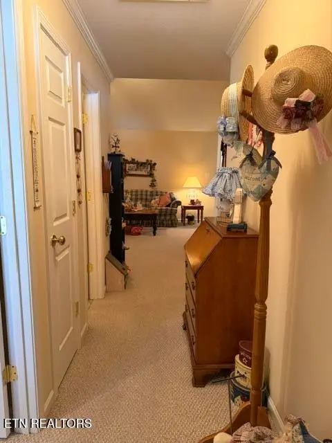 241 El Grande Lane, Lenoir City, TN 37771 - #2