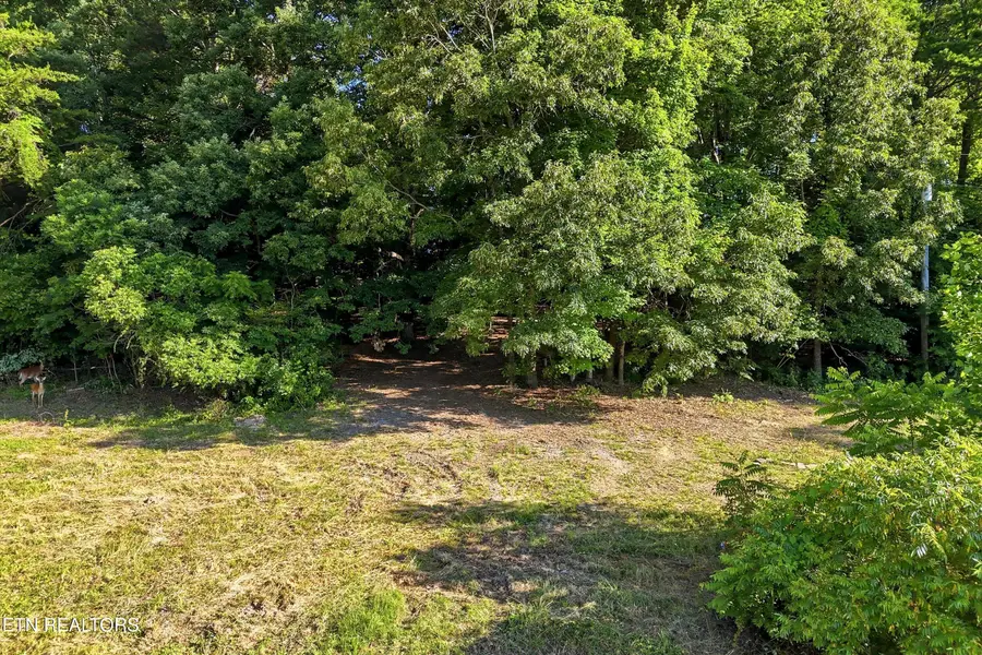 0 Daniels Rd, Knoxville, TN 37938 - #3