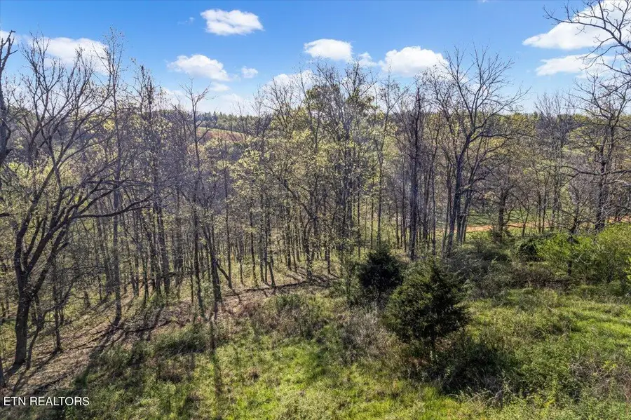 1624 Bartlett Hollow Rd #2, Petersburg, TN 37144 - #3