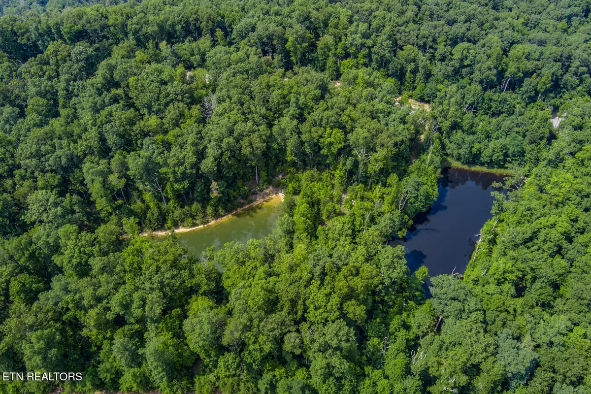 119 Westridge Tr, Monterey, TN 38574 - #1