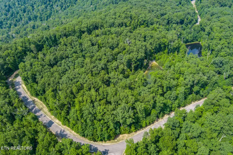 119 Westridge Tr, Monterey, TN 38574 - #2