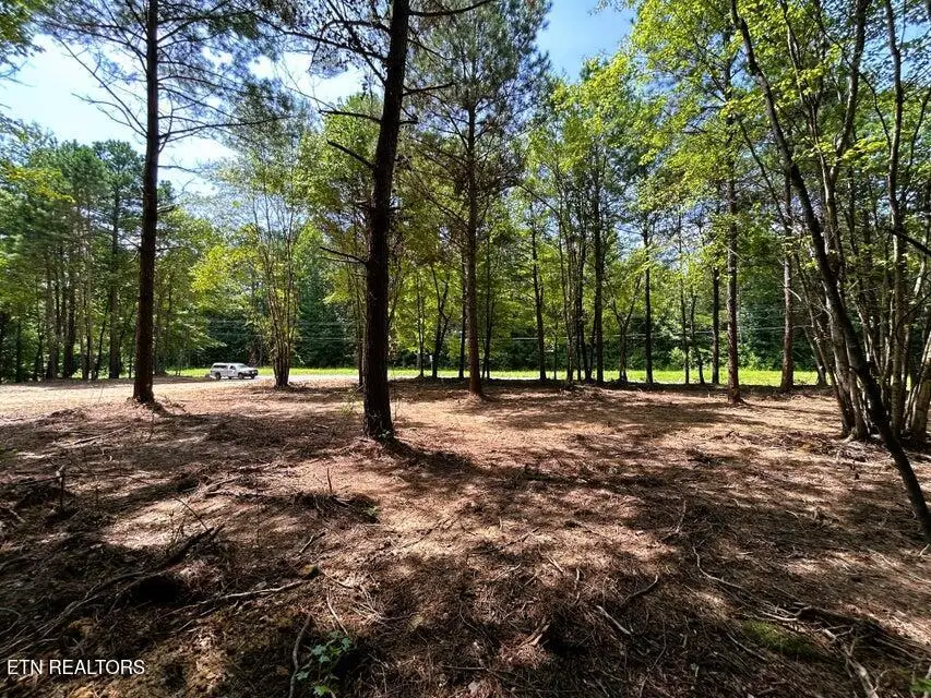 34 acres State Highway 304, Ten Mile, TN 37880 - #1