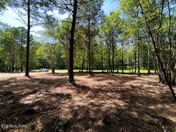34 acres State Highway 304, Ten Mile, TN 37880