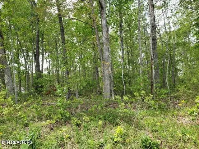 119 Flathead Circle, Crossville, TN 38572 - #3