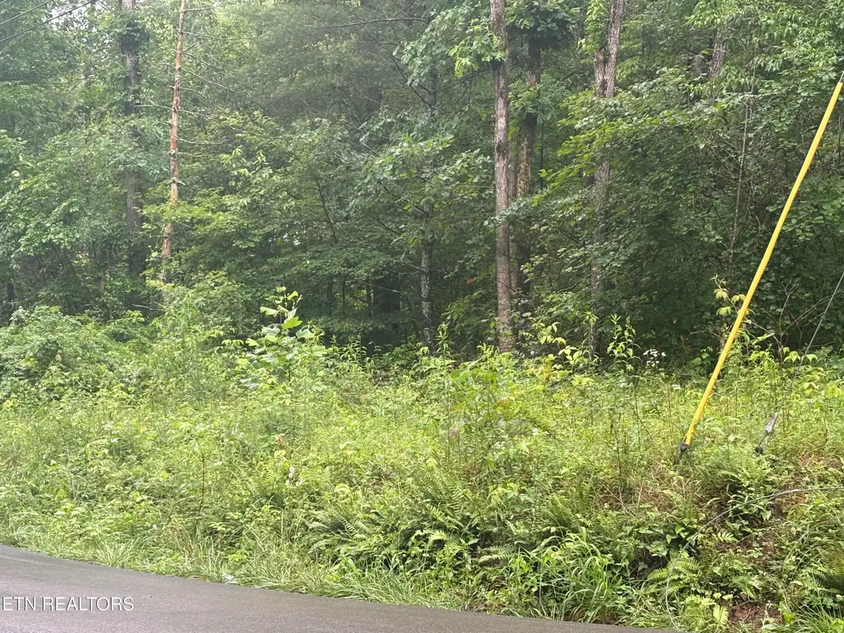 Brown Creek Drive, Crossville, TN 38571 - #1