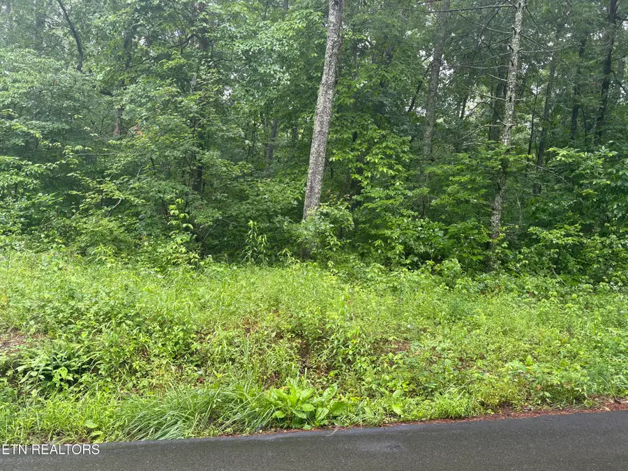 Brown Creek Drive, Crossville, TN 38571 - #2