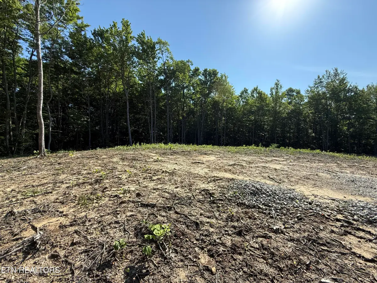 969 Lewallen Rd, Sunbright, TN 37872 - #1